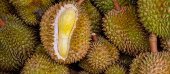 Semarang diserbu Durian, ada apa?