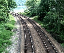 twin_track_of_train_rails_in_a_wooded_area
