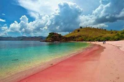 pantai pink